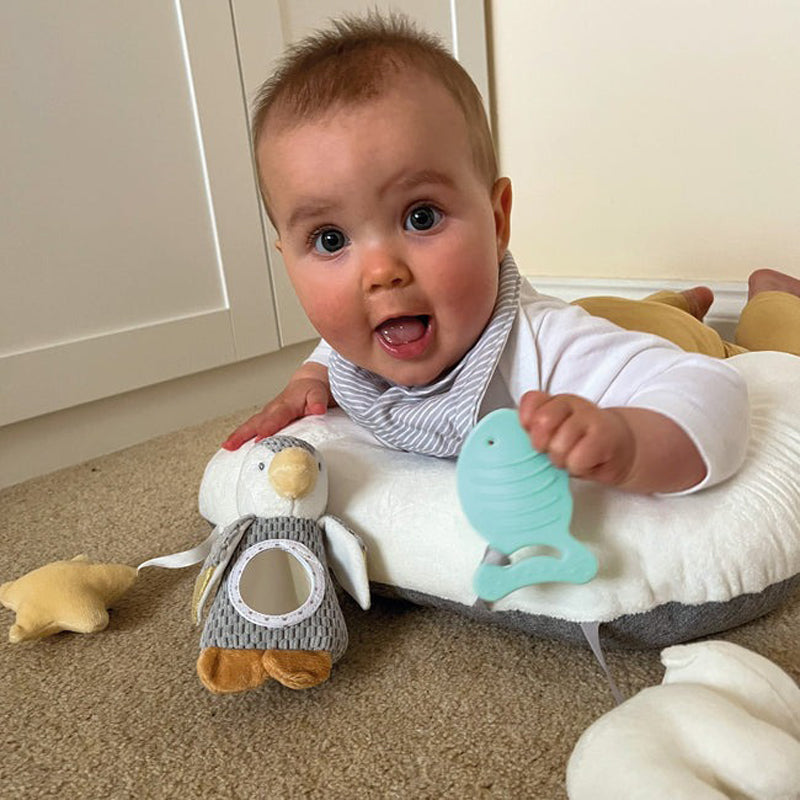 Nuby Penguin Tummy Time Pillow Baby Products Wholesaler