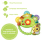 VTech Shaking Sounds Tambourine Baby Products Wholesaler