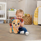 VTech Walk & Wag Puppy Baby Products Wholesaler