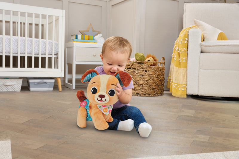 VTech Walk & Wag Puppy Baby Products Wholesaler