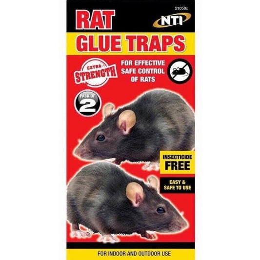 Best Rat Glue Traps | Rat Glue Traps