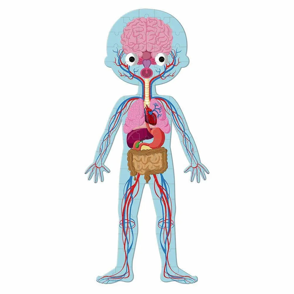 Janod Educational Puzzle Human Body Kid's Attaractive Game Creative Toy Deal For Any Occasion