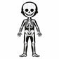 Janod Educational Puzzle Human Body Kid's Attaractive Game Creative Toy Deal For Any Occasion