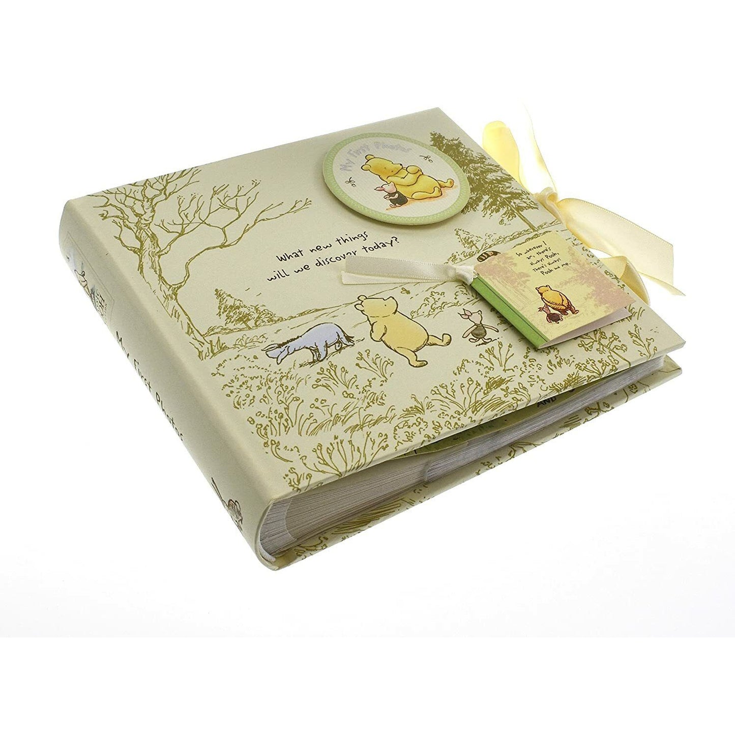 Disney Magical Classic Pooh Heritage Photo Album My First Photos Baby Album Gift